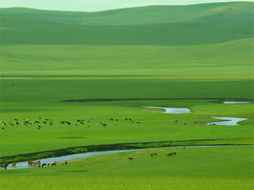 大青沟美景